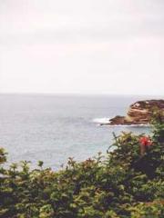 Rong Shao Nan Ning Y