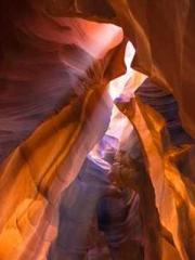 lt;Honor calls for N